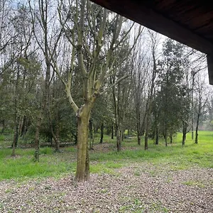 Woods Apartament Werona
